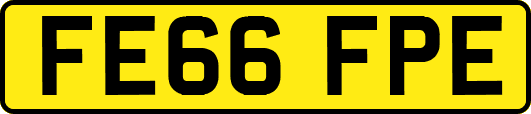 FE66FPE