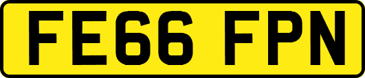 FE66FPN