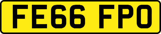FE66FPO