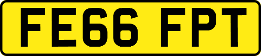 FE66FPT
