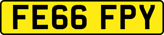 FE66FPY