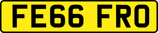 FE66FRO
