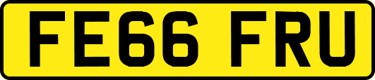 FE66FRU