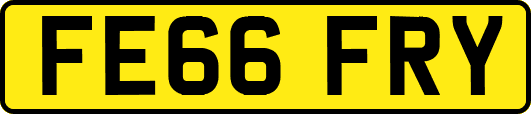 FE66FRY