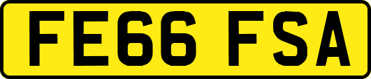 FE66FSA