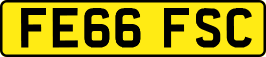 FE66FSC