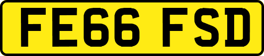 FE66FSD