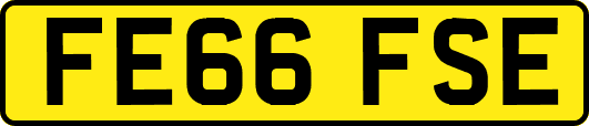 FE66FSE