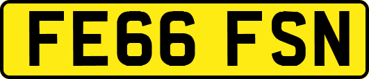 FE66FSN