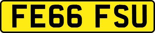 FE66FSU