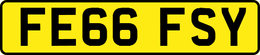 FE66FSY
