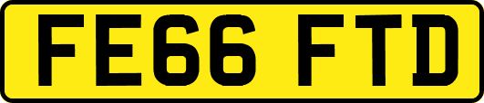 FE66FTD
