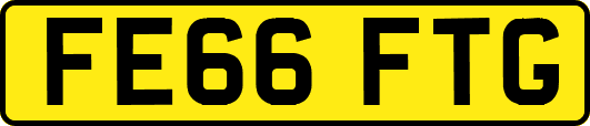 FE66FTG