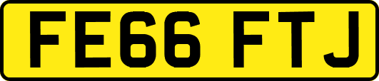 FE66FTJ