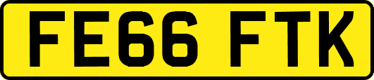 FE66FTK