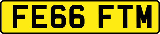 FE66FTM