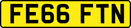 FE66FTN