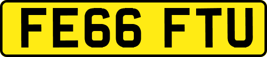 FE66FTU
