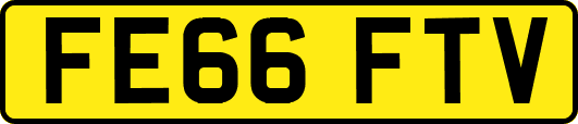 FE66FTV