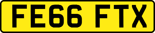 FE66FTX