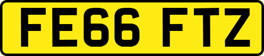 FE66FTZ