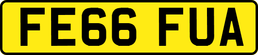FE66FUA