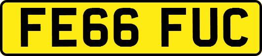 FE66FUC