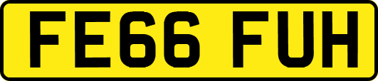 FE66FUH