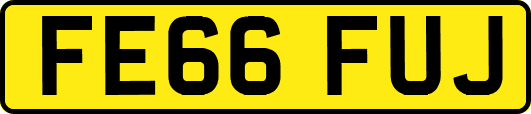 FE66FUJ
