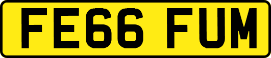 FE66FUM