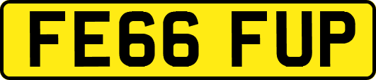 FE66FUP