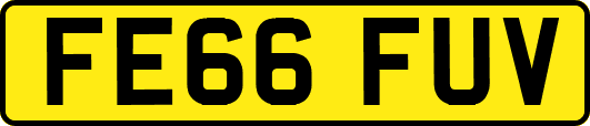 FE66FUV