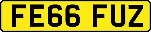 FE66FUZ