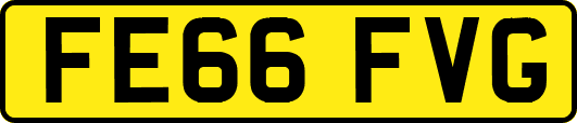 FE66FVG