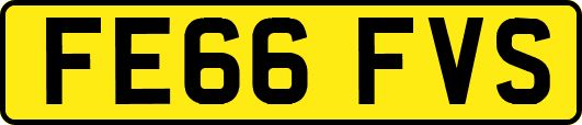 FE66FVS
