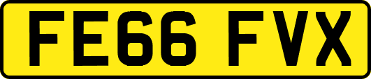 FE66FVX