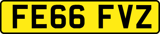 FE66FVZ