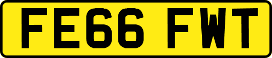 FE66FWT