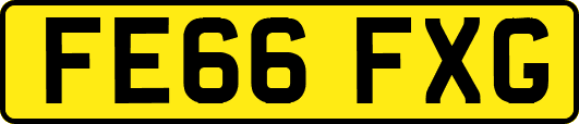 FE66FXG