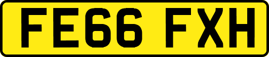 FE66FXH