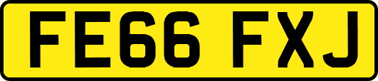 FE66FXJ