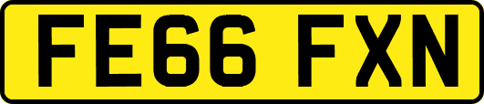 FE66FXN