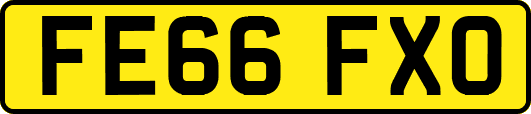 FE66FXO