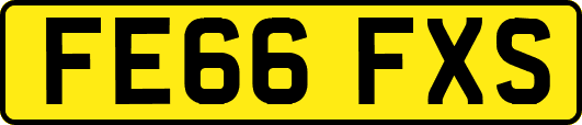 FE66FXS