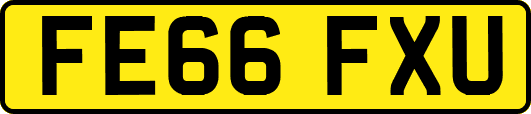 FE66FXU