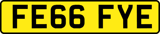FE66FYE