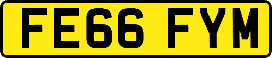 FE66FYM
