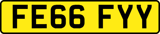 FE66FYY