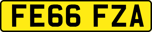 FE66FZA
