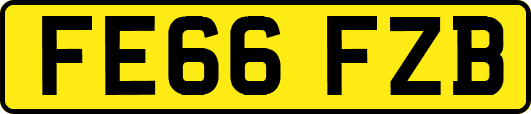 FE66FZB